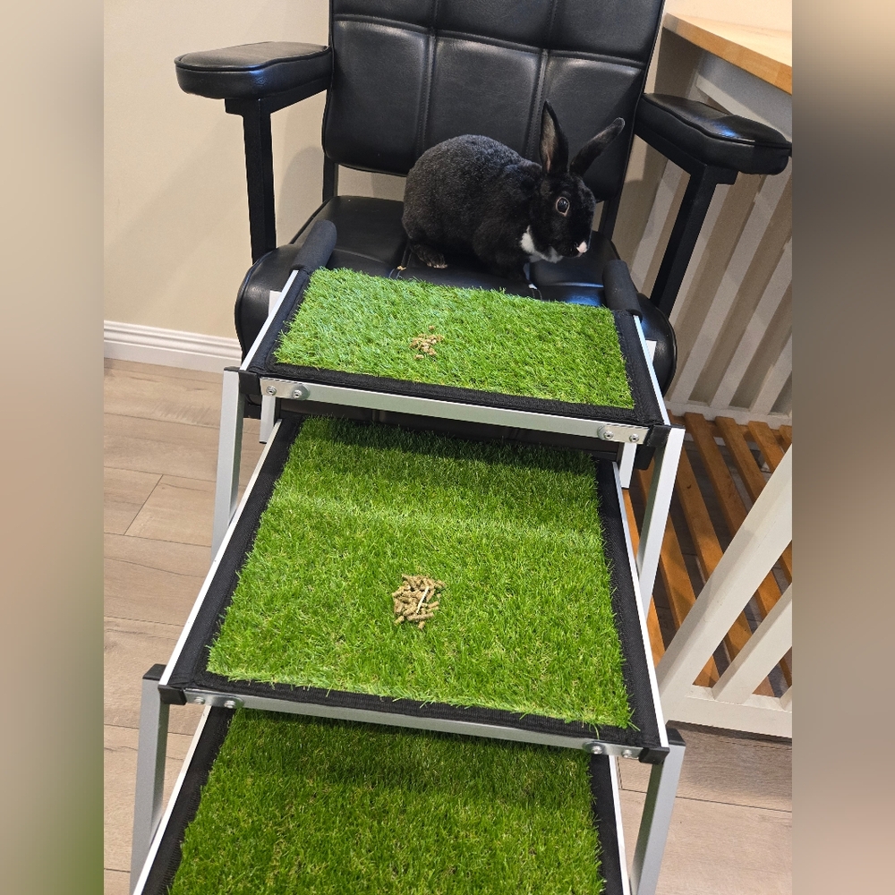Steps for small pets